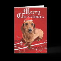 Merry Christmas Dachshund Card cards