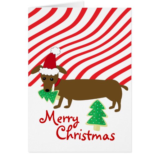merry christmas dachshund greeting card