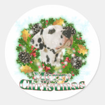 Merry Christmas Dalmation Sticker