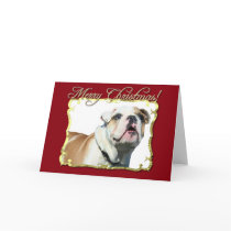 Merry Christmas English bulldog greeting card