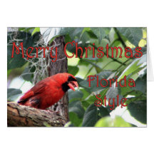 Merry Christmas, Florida Style Greeting Card