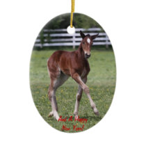 Merry Christmas Foal Ornament