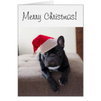 Merry Christmas Frenchie Card