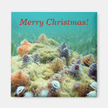 Merry Christmas Fridge Magnets