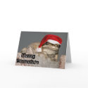 Merry Christmas Frog cards