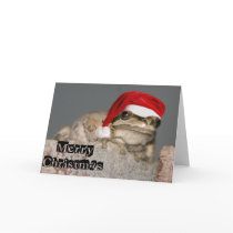 Merry Christmas Frog cards by shirlhathaway Merry Christmas Frog cards
