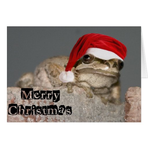 Merry Christmas Frog Greeting Card