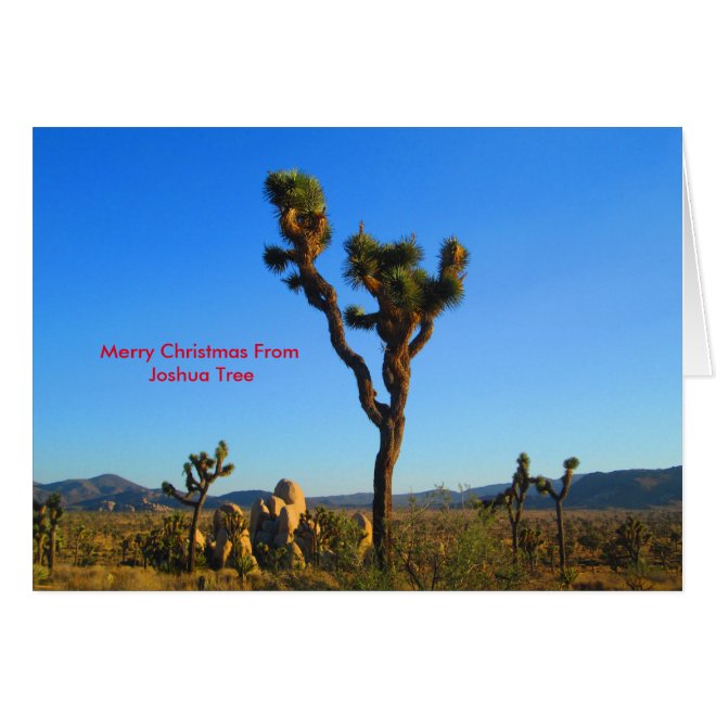 Merry Christmas From Joshua Tree Greeting Card
