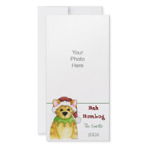 Merry Christmas from the Cat Bah Humbug Photo Card photo cards