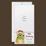 Merry Christmas from the Cat Bah Humbug Photo Card photo cards