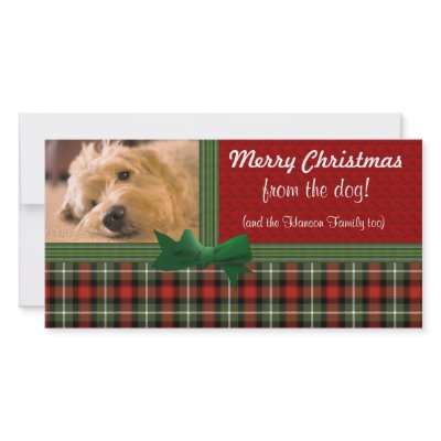 "Merry Christmas from the Dog!" Photo Cards by cowboyannie
