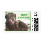 Merry Christmas! from the Dog postage