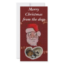 Merry Christmas from the dogs photo cards by pugsandbeagles Merry Christmas from the dogs photo cards