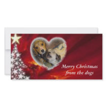 Merry Christmas from the dogs photo cards by pugsandbeagles Merry Christmas from the dogs photo cards