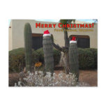 Merry Christmas from Tucson Postcards