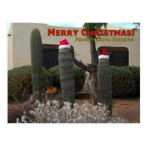 Merry Christmas from Tucson postcards