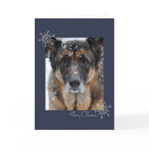 Merry Christmas German Shepherd in the Snow Card