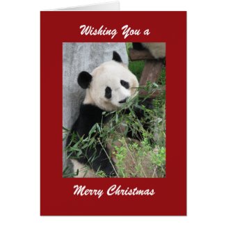 Merry Christmas Greeting Card Giant Panda