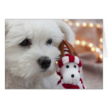 Merry Christmas! Greeting Cards