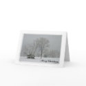 Merry Christmas greetings card
