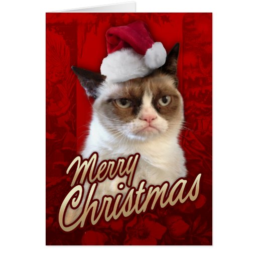 grumpy cat gifts t shirts art posters other gift grumpy cat gifts t shirts art posters other gift