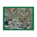 Merry Christmas!/Happy New Year! Postcard by pammys Merry Christmas!/Happy New Year! Postcard