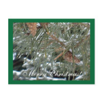 Merry Christmas!/Happy New Year! Postcard