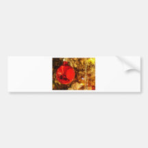 Merry Christmas  Holiday celebrations Santa Clause Bumper Sticker