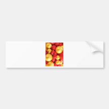 Merry Christmas  Holiday Tree Ornaments celebratio Bumper Sticker