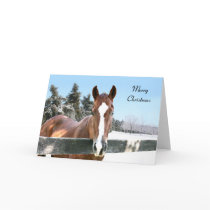 Merry Christmas horse cards