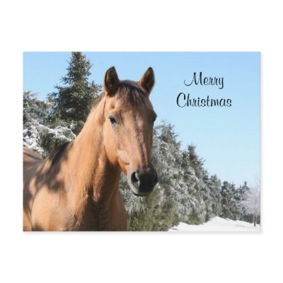 MERRY CHRISTMAS HORSE 