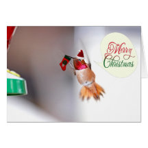 Merry Christmas Hummingbird Cards