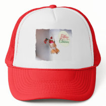 Merry Christmas Hummingbird Hat