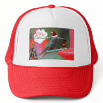 Merry Christmas Hummingbird Hat