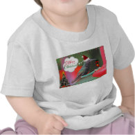 Merry Christmas Hummingbird Tee Shirts