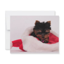 Merry Christmas invitations