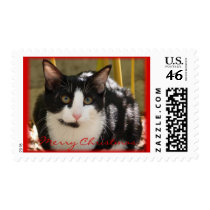 Merry Christmas Justin postage