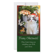 Merry Christmas Kitten Photo Card w/verse photo cards by jaisjewels Merry Christmas Kitten Photo Card w/verse photo cards