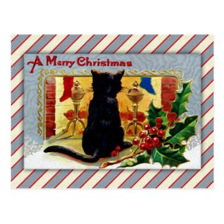Merry Christmas Kitty Postcard