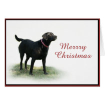 Merry Christmas Lab cards