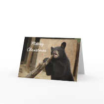 Merry Christmas - Lanikai Greeting Cards