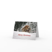 Merry Christmas -Let it Snow cards