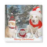 Merry Christmas! Fridge Magnet