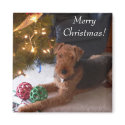 Merry Christmas! magnets