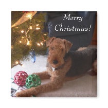 Merry Christmas! magnets