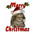 Merry Christmas Maine Coon Cat posters