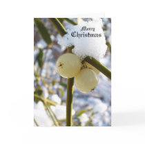 Merry Christmas(Mistletoe Berries) cards by patrickrp Merry Christmas(Mistletoe Berries) cards