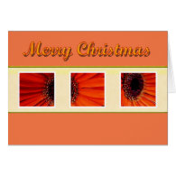 Merry Christmas orange daisy greeting card.