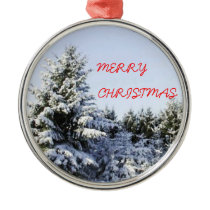 Merry Christmas ornament