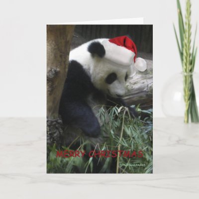 Merry Christmas Panda Happy New Year! Greeting Cards by graphicdoodles